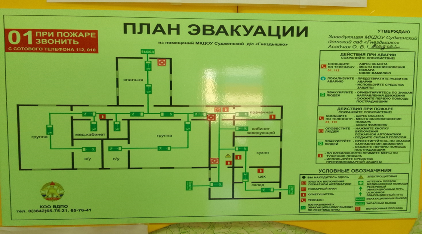 Без названия.png